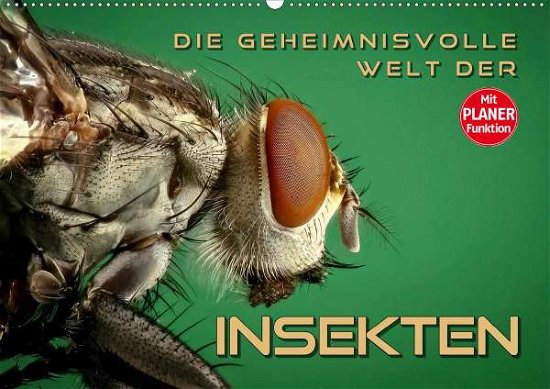 Cover for Bleicher · Die geheimnisvolle Welt der In (Book)