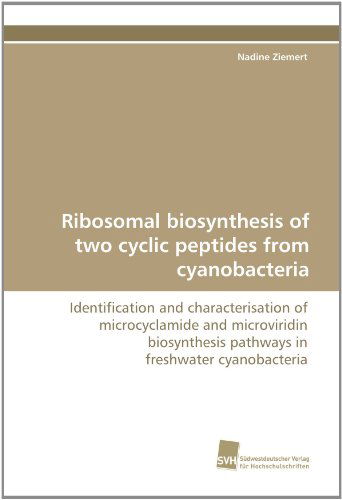 Cover for Nadine Ziemert · Ribosomal Biosynthesis of Two Cyclic Peptides from Cyanobacteria: Identification and Characterisation of Microcyclamide and Microviridin Biosynthesis Pathways in Freshwater Cyanobacteria (Paperback Book) (2010)