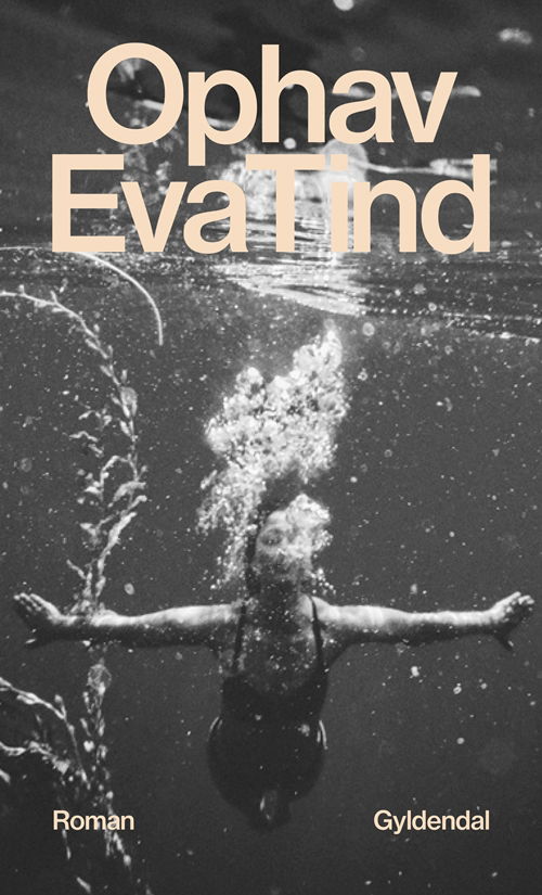 Cover for Eva Tind · Ophav (Sewn Spine Book) [1.º edición] (2019)