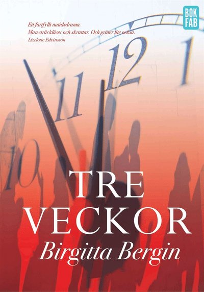 Cover for Birgitta Bergin · Ulli: Tre veckor (ePUB) (2014)