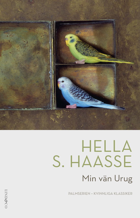 Cover for Hella S. Haasse · Min vän Urug (Indbundet Bog) (2023)