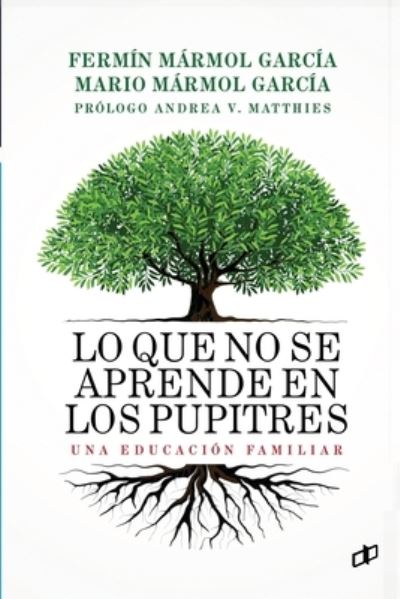 Cover for Mario Marmol Garcia · Lo que no se aprende en los pupitres: Una educacion familiar (Paperback Book) (2020)