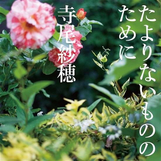 Cover for Terao Saho · Tayorinai Mono No Tame Ni (CD) [Japan Import edition] (2017)