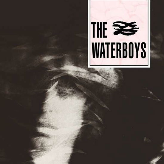 Waterboys (CD) (2019)