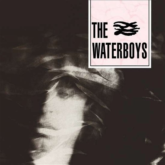 Cover for Waterboys · The Waterboys (CD) (2019)
