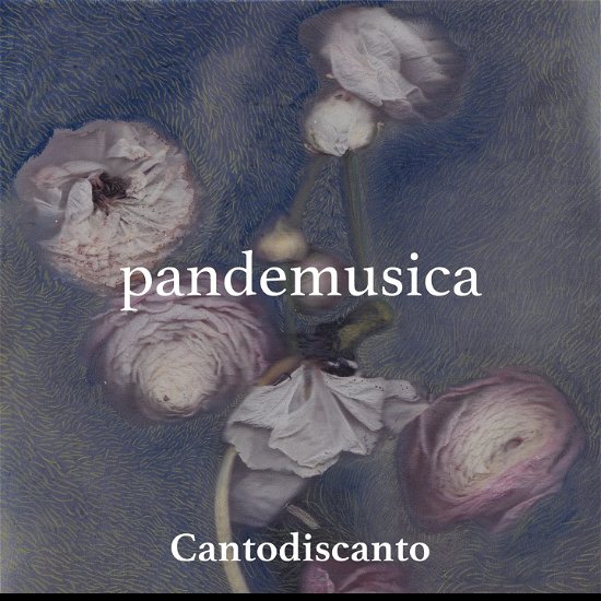 Cover for Cantodiscanto · Pandemusica (CD) (2022)