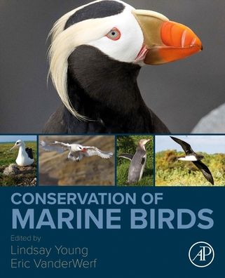 Cover for Lindsay Young · Conservation of Marine Birds (Paperback Book) (2022)