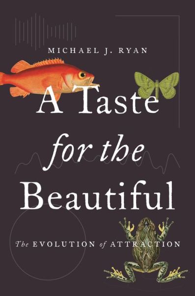 Cover for Michael J. Ryan · A Taste for the Beautiful: The Evolution of Attraction (Paperback Book) (2019)