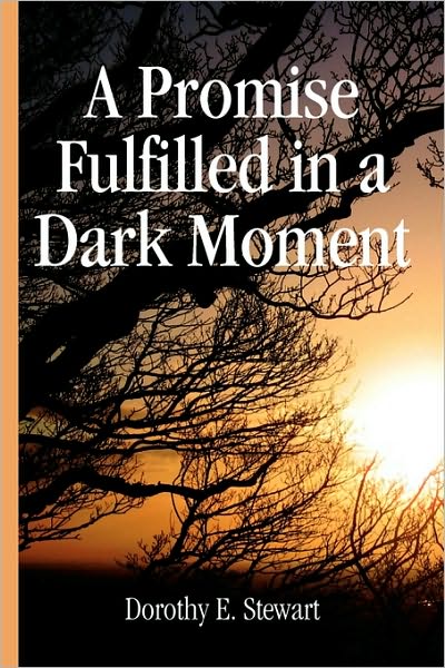 Cover for Dorothy E Stewart · A Promise Fulfilled in a Dark Moment (Paperback Book) (2010)