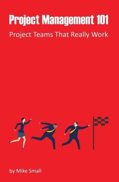 Cover for Mike Small · Project Management 101: Project Teams That Really Work (Pocketbok) (2015)