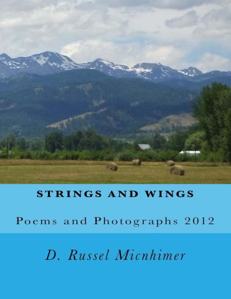 Cover for D Russel Micnhimer · Strings and Wings (Paperback Book) (2015)