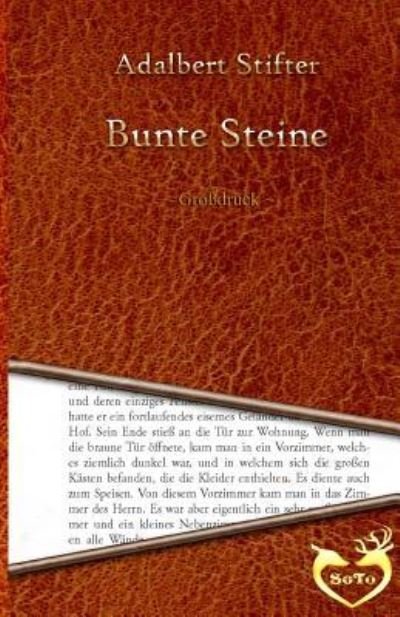 Cover for Adalbert Stifter · Bunte Steine - Grossdruck (Paperback Bog) (2016)