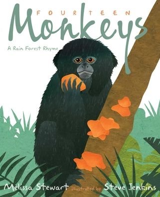 Cover for Melissa Stewart · Fourteen Monkeys: A Rain Forest Rhyme (Inbunden Bok) (2021)
