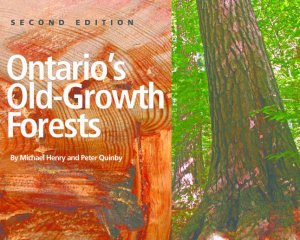 Cover for Michael Henry · Ontario's Old Growth Forests (Paperback Book) (2022)