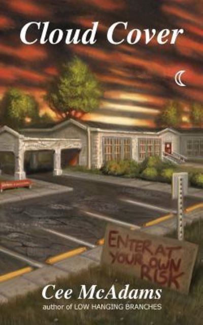 Cloud Cover - Cee McAdams - Books - WingSpan Press - 9781595946393 - July 6, 2019