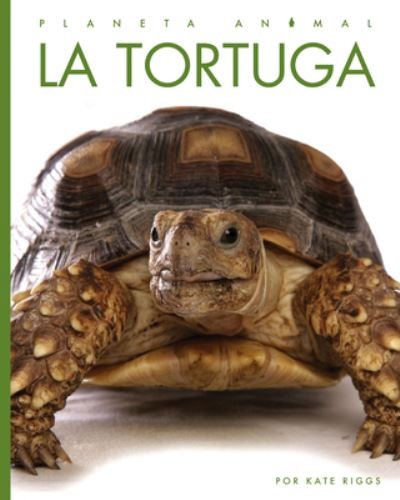 La Tortuga - Kate Riggs - Books - Creative Education and Creative Paperbac - 9781682772393 - August 16, 2022