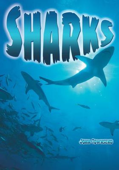 Cover for John Townsend · Sharks - Wow! Facts (B) (Taschenbuch) [size BL] (2014)