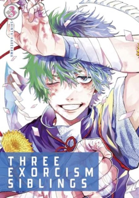 Three Exorcism Siblings Vol.3 - Shinta Harekawa - Books - Titan Books Ltd - 9781787741393 - November 12, 2024