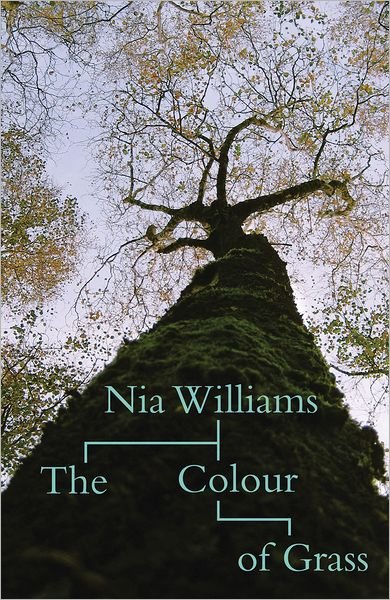 Cover for Nia Williams · The Colour of Grass (Pocketbok) (2011)