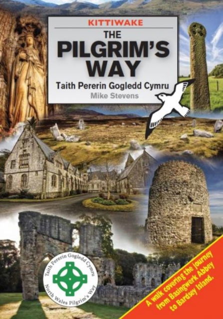 Cover for Mike Stevens · The Pilgrim's Way (Paperback Book) (2016)