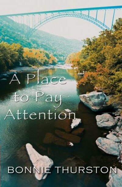 Place to Pay Attention, A - Bonnie Thurston - Książki - Cinnamon Press - 9781909077393 - 15 października 2014