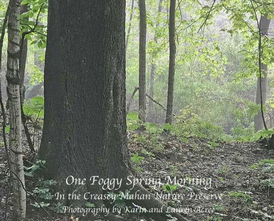 Cover for One Foggy Morning in Spring: In the Creasey Mahan Nature Preserve (Hardcover Book) (2018)