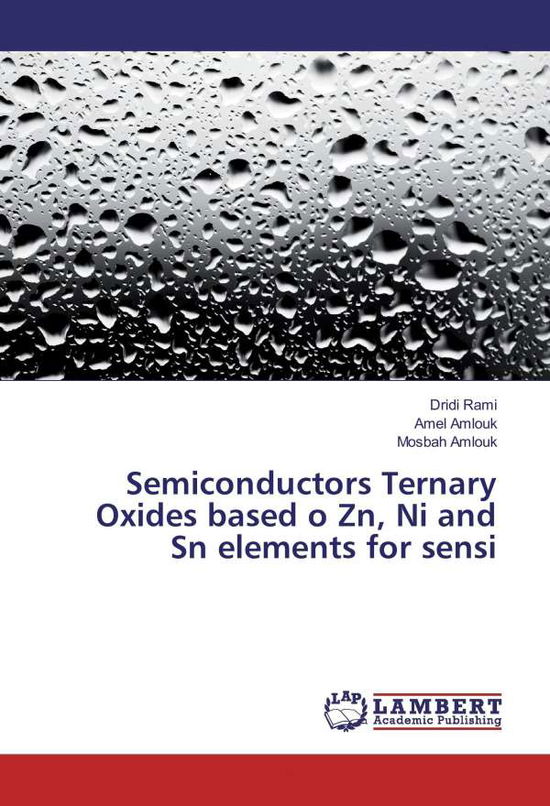 Cover for Rami · Semiconductors Ternary Oxides base (Book)