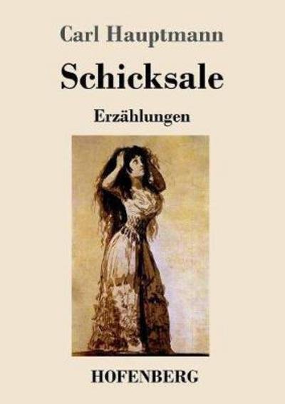 Cover for Hauptmann · Schicksale (Book) (2017)