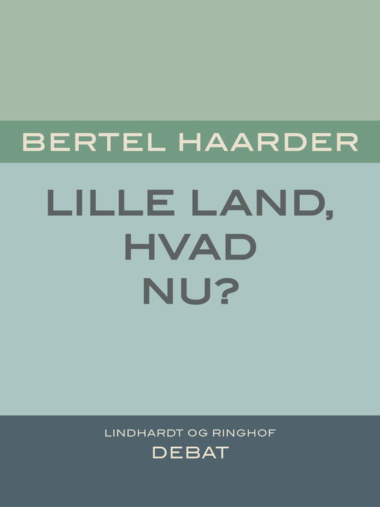 Lille land, hvad nu? - Bertel Haarder - Livros - Saga - 9788726099393 - 26 de dezembro de 2018