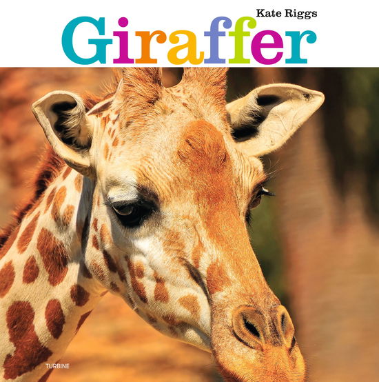 Cover for Kate Riggs · Giraffer (Hardcover Book) [1º edição] (2024)