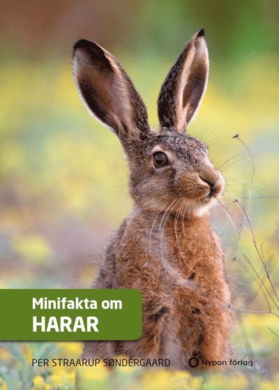Cover for Per Straarup Søndergaard · Minifakta om ...: Minifakta om harar (Bound Book) (2021)