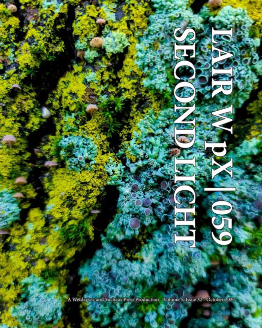 Cover for Wetdryvac · LAIR W pX 059 Second Licht (Paperback Bog) (2024)