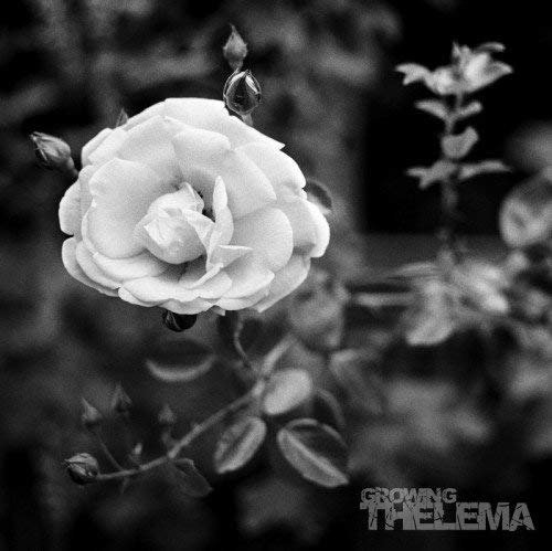 Cover for Thelema · Growing (LP) (2014)