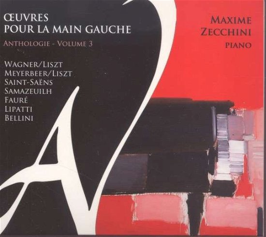 Cover for Maxime Zecchini · Ouvres pour la main gauche vol 3 (CD) (2017)