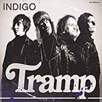 Indigo (4 X 7") - Tramp - Musiikki - BOOTLEG BOOZE RECORDS - 7319200000394 - maanantai 25. huhtikuuta 2011