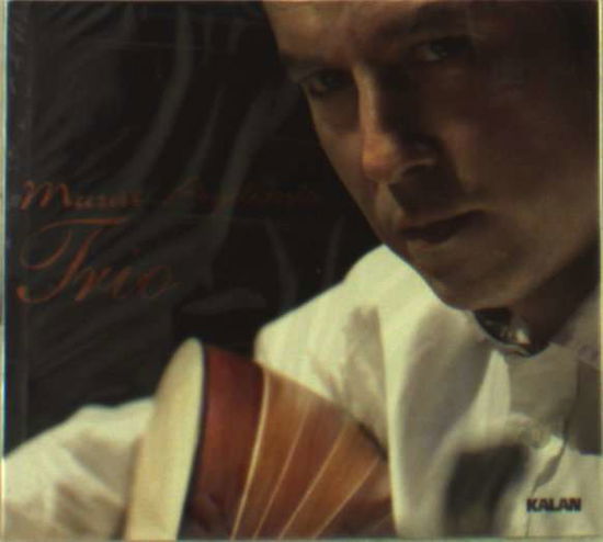 Cover for Murat Aydemir · Trio (CD) (2011)