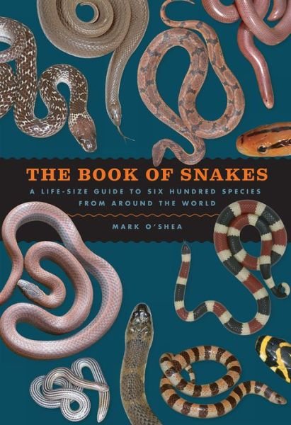 Cover for Mark O'Shea · The Book of Snakes A Life-Size Guide to Six Hundred Species from around the World (Hardcover Book) (2018)