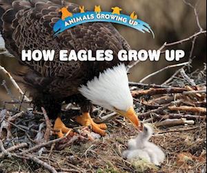 Cover for Heather Moore Niver · How Eagles Grow Up (Hardcover Book) (2018)