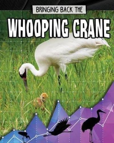 Cover for Rachel Stuckey · Bringing Back the Whooping Crane - Animals Back from the Brink (Paperback Book) (2018)