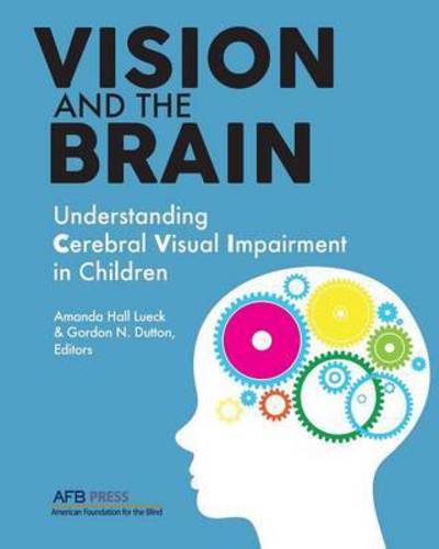 Cover for Amanda Hall Lueck · Vision and the Brain: Understanding Cerebral Visual Impairment in Children (Paperback Book) (2015)