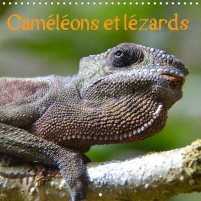 Cover for Emmanuelle · Caméléons et lézards (Calend (Bog)