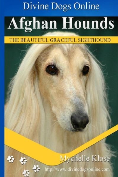 Cover for Mychelle Klose · Afghan Hounds: Divine Dogs Online (Paperback Book) (2013)