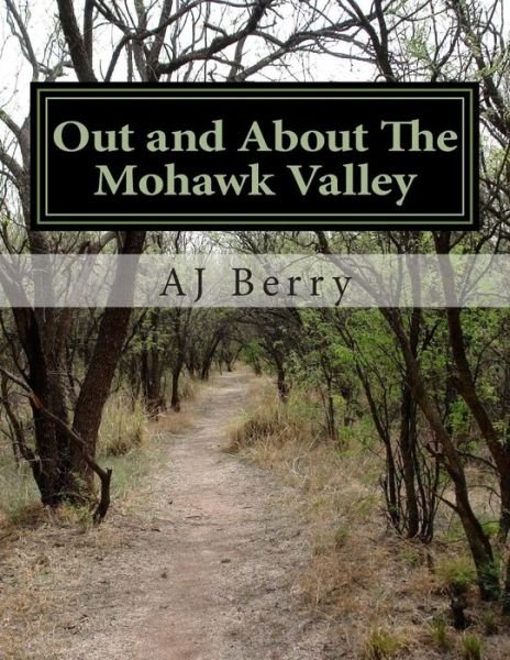 Cover for Aj Berry · Out and About the Mohawk Valley (Paperback Book) (2014)