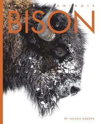 Cover for Valerie Bodden · Bison (Bok) (2022)