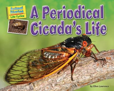 Cover for Ellen Lawrence · A Periodical Cicada's Life (Paperback Book) (2020)