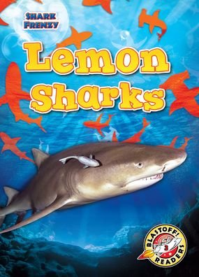 Cover for Rebecca Pettiford · Lemon Sharks - Shark Frenzy (Hardcover Book) (2021)