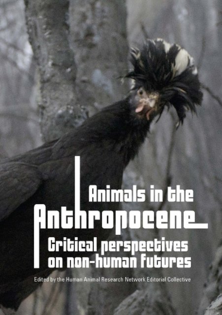 Cover for Animals in the Anthropocene: Critical Perspectives on Non-Human Futures - Animal Publics (Paperback Book) (2015)
