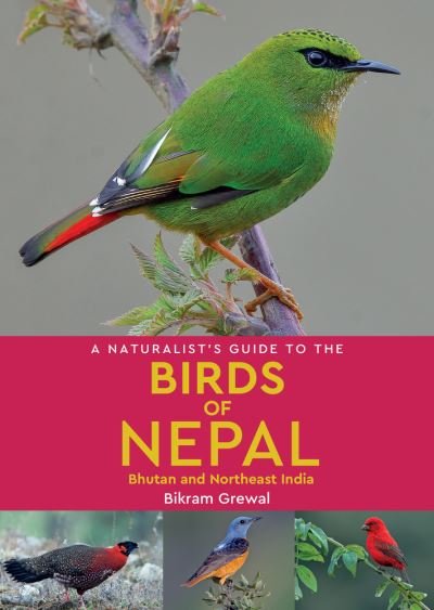 Cover for Bikram Grewal · A Naturalist's Guide to the Birds of Nepal - Naturalists' Guides (Pocketbok) (2023)