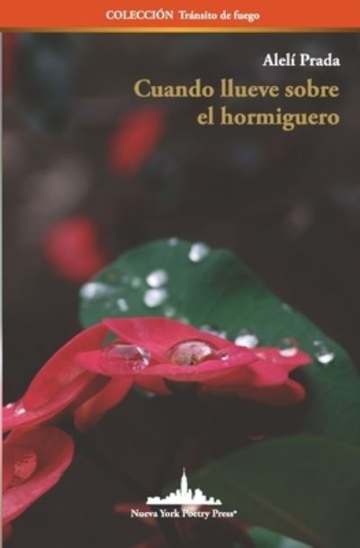 Cover for Aleli Prada · Cuando llueve sobre el hormiguero - Coleccion Transito de Fuego (Paperback Book) (2021)