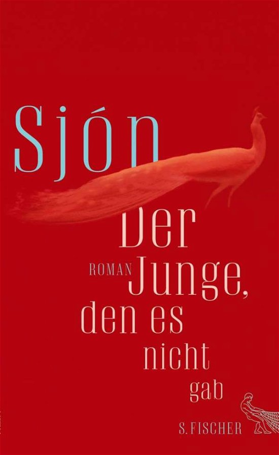 Cover for Sjón · Der Junge, den es nicht gab (Book)
